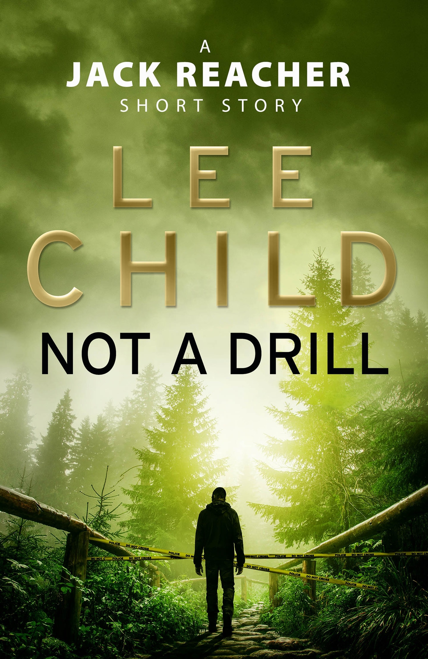 lee child no middle name review