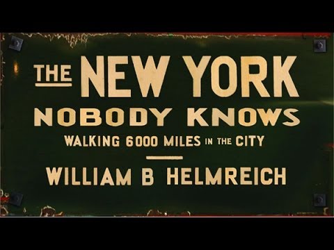 the new york nobody knows review