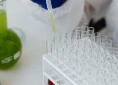 talaro foundations in microbiology pdf