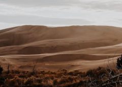 rogue pathfinder guide